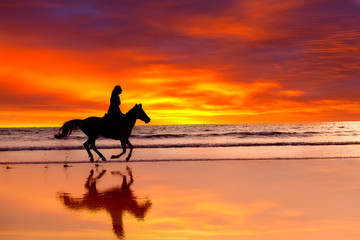 Naklejka na ściany i meble Sylwetka dziewczyny pomijanie na koniu na zachodzie słońca
