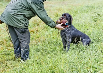 Cercles muraux Chasser chasseur avec un chien à la chasse