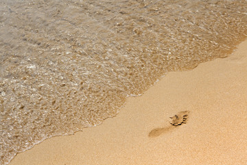 Human footprints on the beach