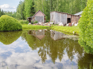 Obraz premium Beautiful rural landscape