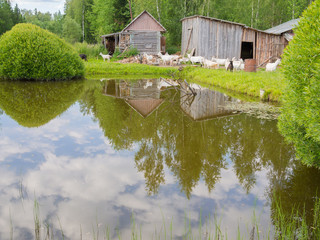 Fototapeta premium Beautiful rural landscape