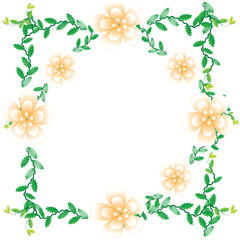 Flower of frame on white background