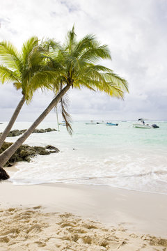 Sandy Beach, Barbados, Caribbean