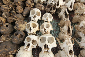 Monkey skull on voodoo fetish market, Togo, Africa