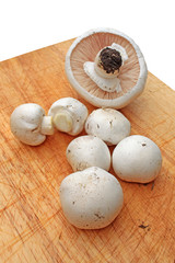 frisch gepfückte champignons