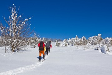 Fototapeta na wymiar hikers in a winter plain