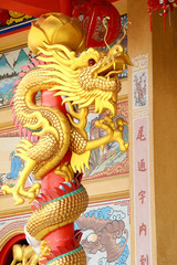 Golden Dragon of Holy Shrine.