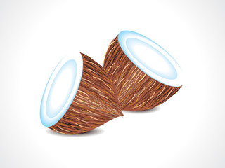 vector coconut