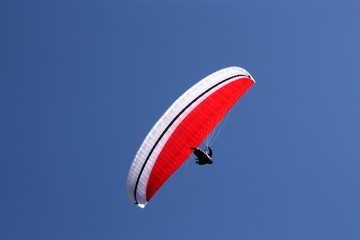Paraglider