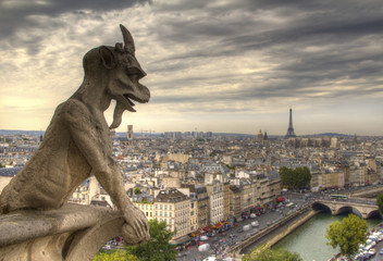 Gargoyle on Notre Dame de Paris