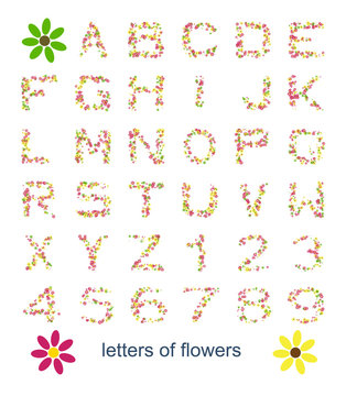 letters of flowers