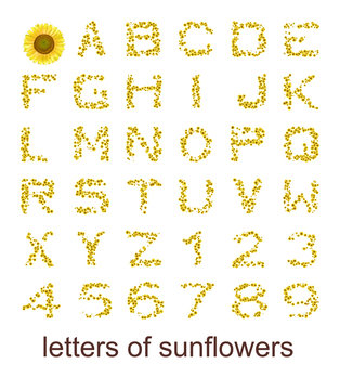 letters of sunflowers