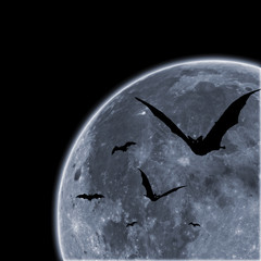 Bats against the moon