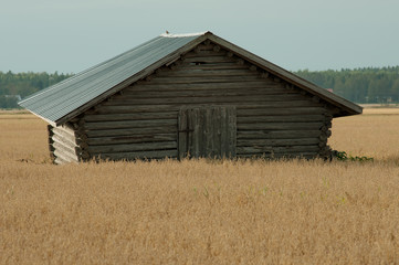 Abandoned shed