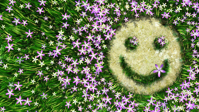 Flower Smiley On The Grass Decorative Background