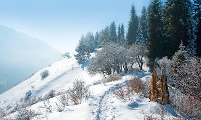 Verschneiter Winter im Berg © petunyia