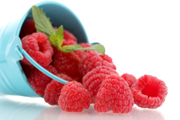 beautiful raspberries in bucket isolated on white