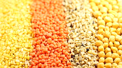 Four types of pulses with selective focus