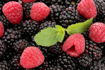 background of beautiful berries with leaves