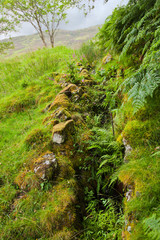 Fototapeta premium scottish summer landscape with little stream