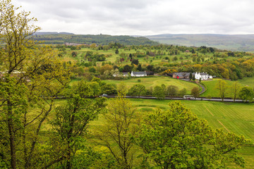 Green trees covered valley landscape