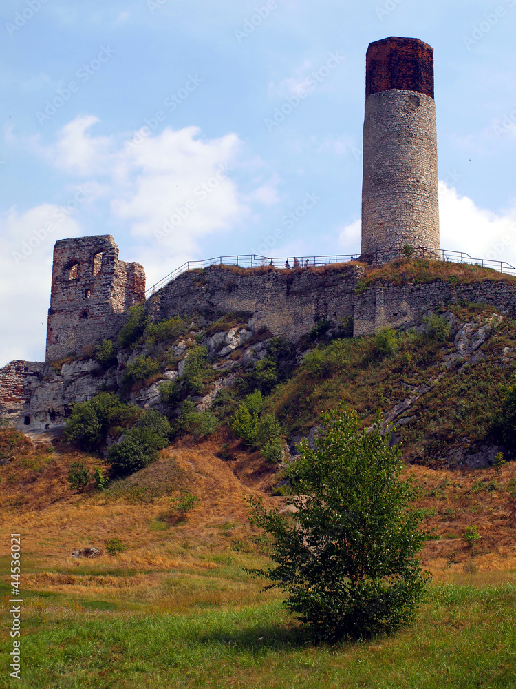 Wall mural ruins of the old castle