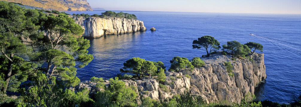 cassis