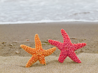 A Red and Orange Starfish on the Shoreline with Waves