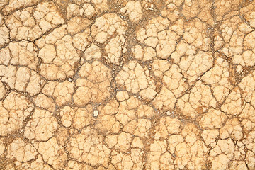 Desert dry earth texture background