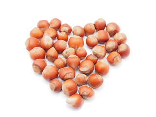 heart of the hazelnuts on a white background
