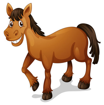 Horse cartoon