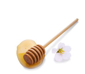 puddle of honey