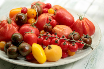 Verschiedene Tomatensorten frisch gewaschen