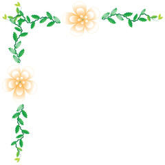 Flower of frame on white background