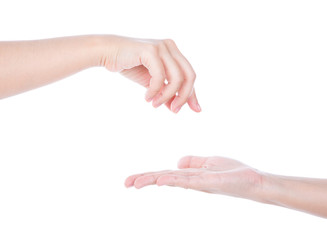 Two woman  hands isolated on a white background