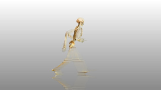 Walking skeleton W/reflection & also loopabable