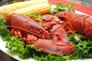 Two Cooked Lobsters with Fresh Corn on the Cob
