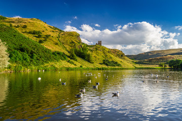 Fototapeta premium View of the mountains reflected in a lake with birds