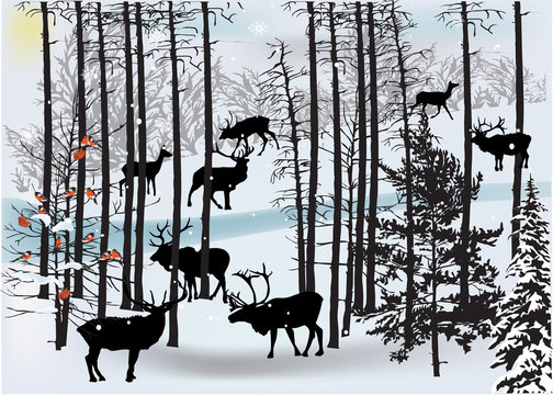 deers in white winter landscape