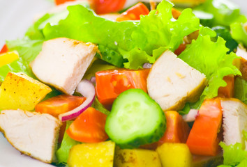 salad with chicken and vegetables