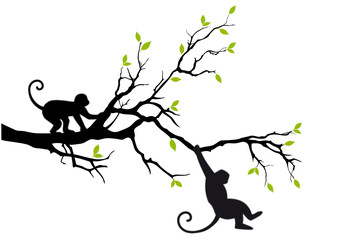 Fototapeta premium monkeys on tree, vector