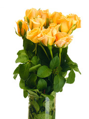 beautiful bouquet of roses in transparent vase isolated on