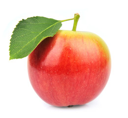 Single summer apple