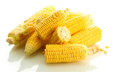 fresh corn, isolated on white