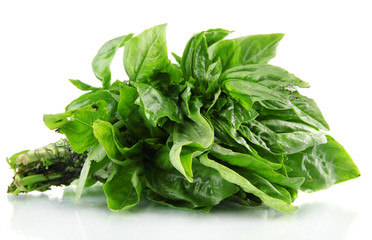 Green fresh basil, isolated on white.