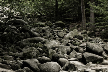 Felsenmeer in Lautertal im Odenwald