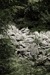 Felsenmeer in Lautertal im Odenwald