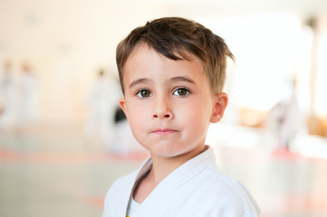 Portrait of karate boy training in sport hall