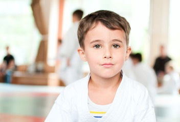 Portrait of karate boy training in sport hall