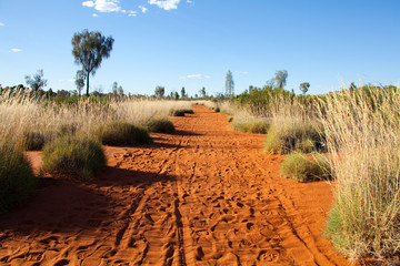 Dirt road IMG_2010